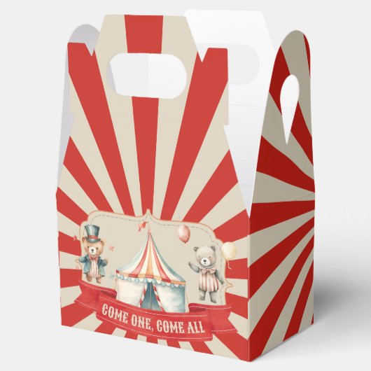 Carnaval Circus & Dieren Verjaardagsfeest Bedankdoosjes (Geopend)