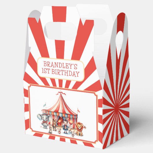 Carnaval Circus Show & Dieren Verjaardagsfeest Bedankdoosjes (Geopend)