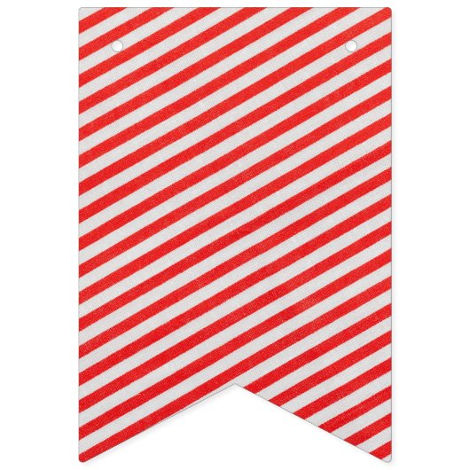 Carnaval Circus Verjaardag Vlaggetjes (Eerste vlag)