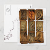 Carnaval, libellen, bomen briefkaart (Voorkant / Achterkant)