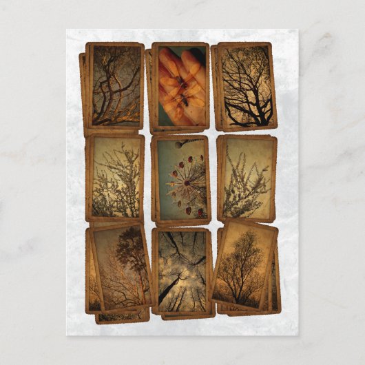 Carnaval, libellen, bomen briefkaart (Voorkant)