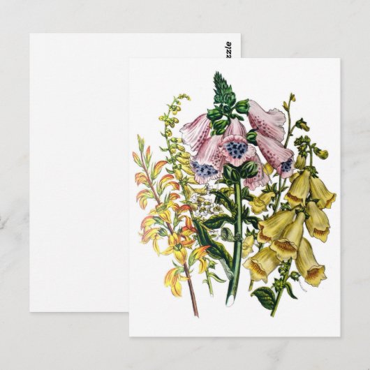 Carnaval van bloemen briefkaart (Voorkant / Achterkant)