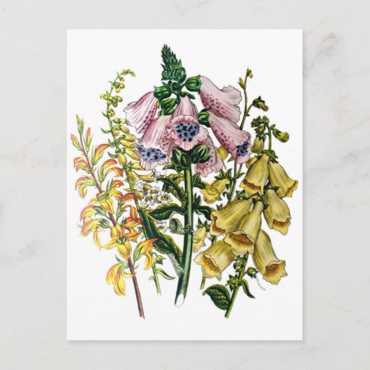 Carnaval van bloemen briefkaart (Voorkant)