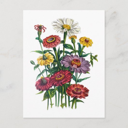 Carnaval van bloemen briefkaart (Voorkant)