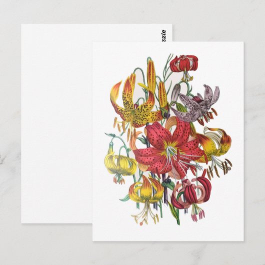 Carnaval van bloemen briefkaart (Voorkant / Achterkant)