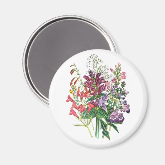 Carnaval van bloemen magneet (Voorkant / Achterkant)