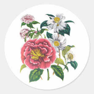Carnaval van bloemen ronde sticker