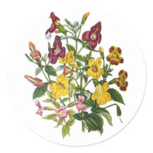 Carnaval van bloemen