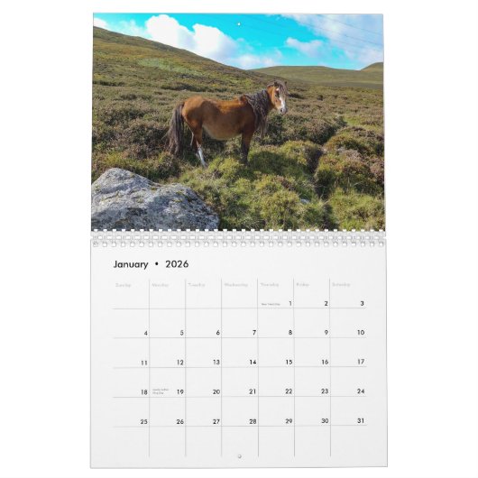 Carneddau Ponies van Sarah Woodbury Kalender (Jan 2026)