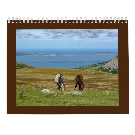 Carneddau Ponies van Sarah Woodbury Kalender (Achterkant)