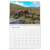 Carneddau Ponies van Sarah Woodbury Kalender (Jan 2027)