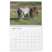 Carneddau Ponies van Sarah Woodbury Kalender (Feb 2027)