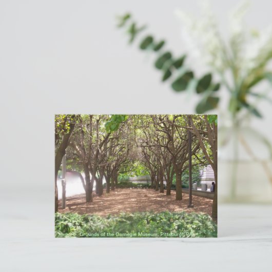 Carnegie Museum Briefkaart (Staand voorkant)