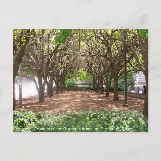 Carnegie Museum Briefkaart (Voorkant)