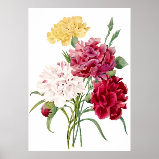 Carnenventilator Afdruk van Pierre-Joseph Redouté Poster (Voorkant)