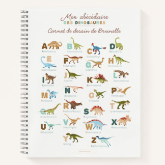 Carnet Dessin Abacedaire Dinosaures (Frans) Notitieboek