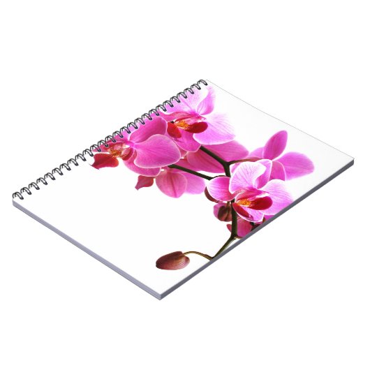 Carnet Orchidée Notitieboek (Linkerzijde)