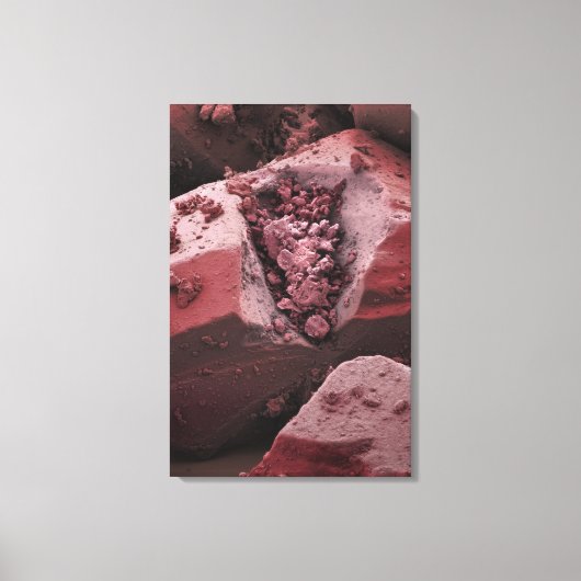 carnitine canvas afdruk (Voorkant)