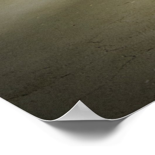 Carnival Concessiestandaard Poster (Hoek)