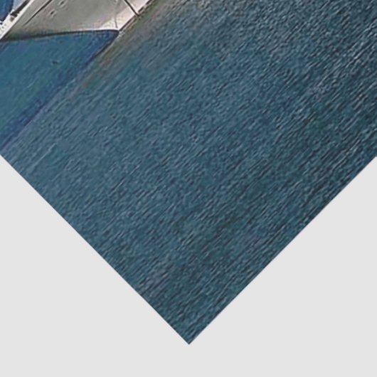 Carnival Cruise Line Decoupage Tissue Paper Tissuepapier (Detail)