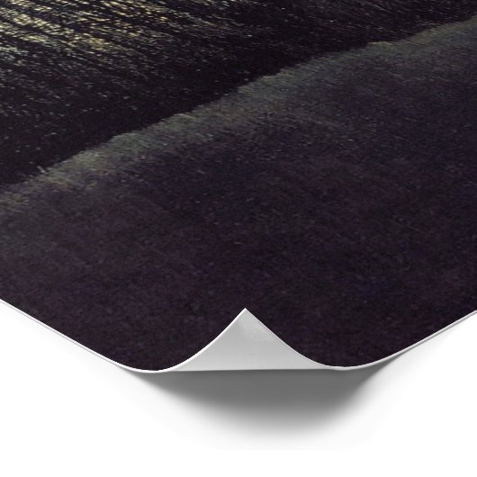 Carnival Evening door Henri Rousseau Poster (Hoek)