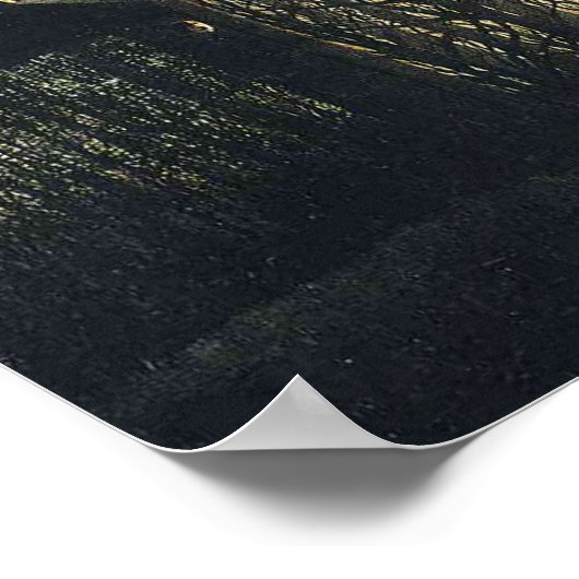 "Carnival Evening" Poster (Hoek)