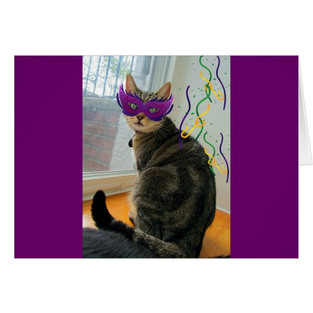 Carnival Indigo (Voorkant Horizontaal)