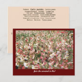 Carnival Rio de Janeiro, Brazilië Briefkaart (Voorkant / Achterkant)