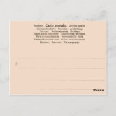 Carnival Rio de Janeiro, Brazilië Briefkaart (Achterkant)