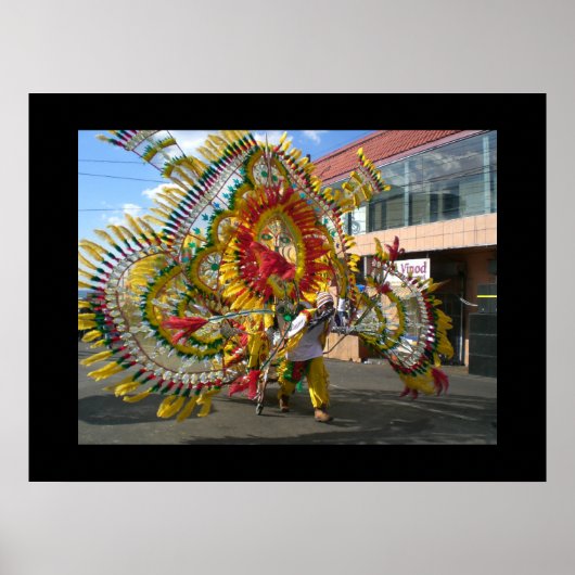 Carnival Trinidad 2010 Poster (Voorkant)