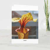 Carnivoor Plant Verjaardag Kaart (Achterkant)