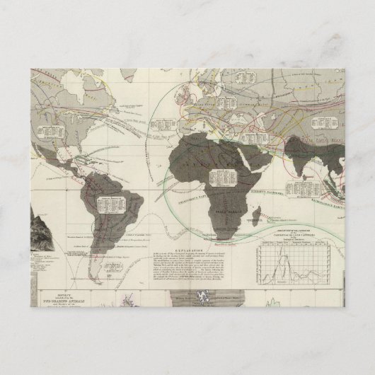 Carnivora Briefkaart (Voorkant)