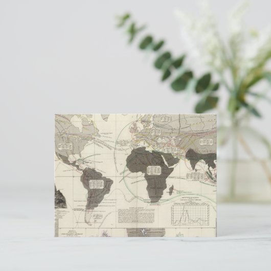 Carnivora Briefkaart (Staand voorkant)