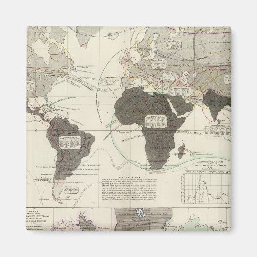 Carnivora Magneet (Voorkant)