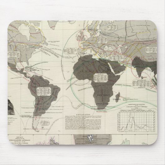 Carnivora Muismat (Voorkant)