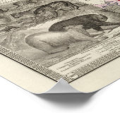 Carnivora Poster (Hoek)