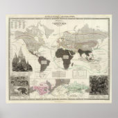 Carnivora Poster (Voorkant)