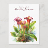 Carnivore Pitcher Plant Botanische Waterverf Kunst Briefkaart (Voorkant)