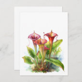 Carnivore Pitcher Plant Botanische Waterverf Kunst Briefkaart (Voorkant / Achterkant)