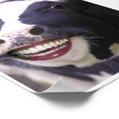 Carnivore Poster (Hoek)