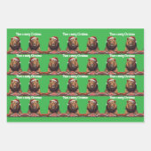 carnivore Wrapping Paper Flat Sheet Set of 3 (Voorkant)