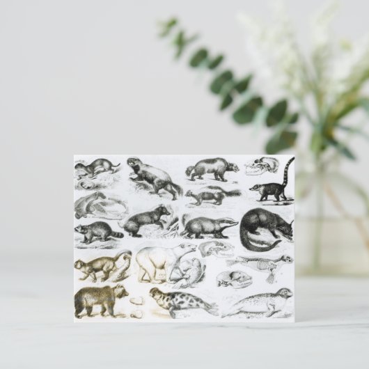 carnivoren briefkaart (Staand voorkant)