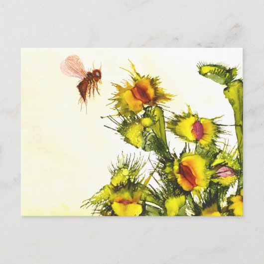 "Carnivoren" briefkaart (Voorkant)