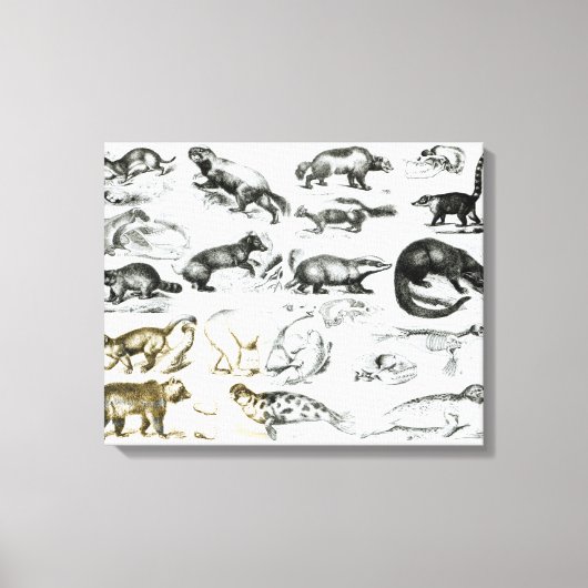 carnivoren canvas afdruk (Voorkant)