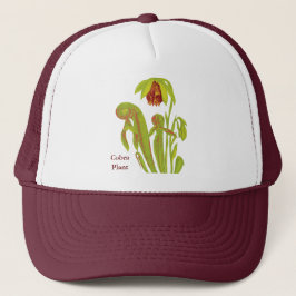 Carnivoren Plant Darlingtonia Trucker Pet