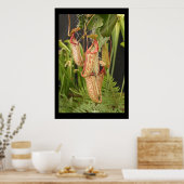 Carnivoren Plant Poster (Keuken)
