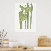 Carnivoren Plant - Sarracenia flava Poster (Keuken)