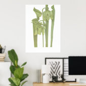 Carnivoren Plant - Sarracenia flava Poster (Thuiskantoor)