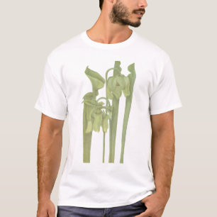 Carnivoren Plant - Sarracenia flava T-shirt