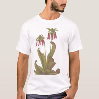 Carnivoren Plant - Sarracenia psittacina T-shirt